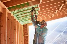 Best Eco-Friendly or Green Insulation Solutions  in USA